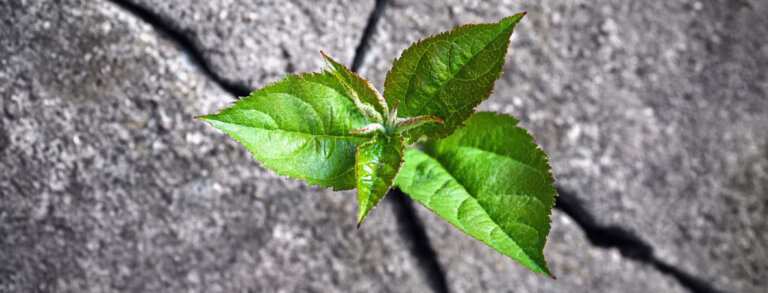 How to Develop Resilience In Yourself and Others