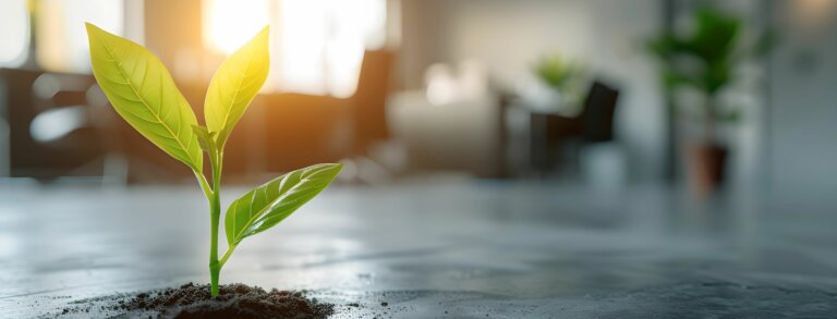 Resilience: A Critical Trait for Effective Leadership